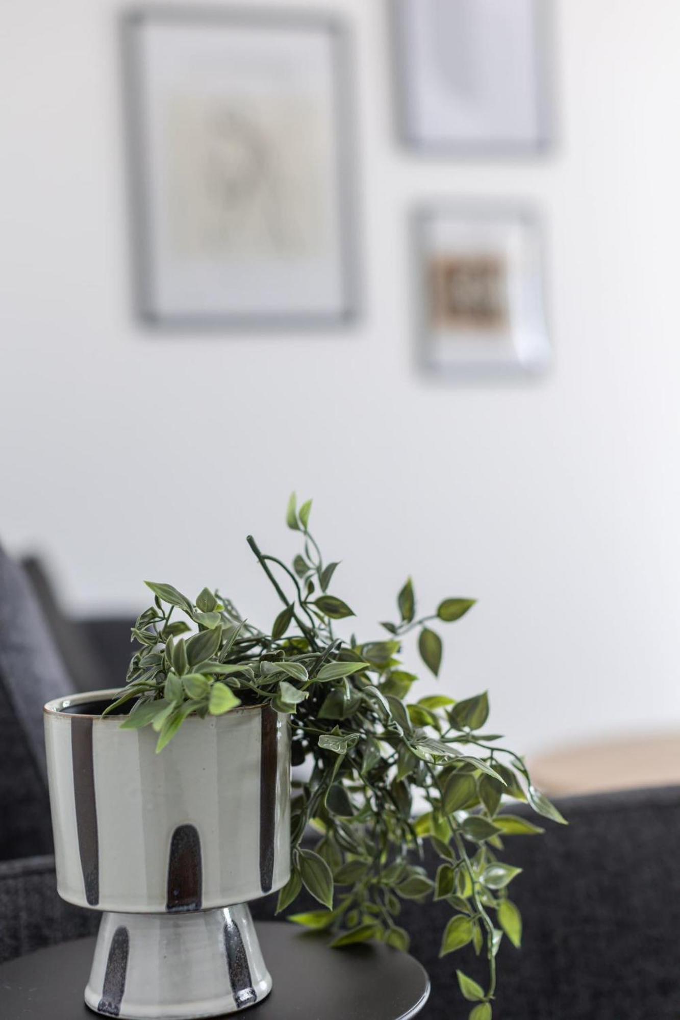 Apartments Antico Трогир Экстерьер фото